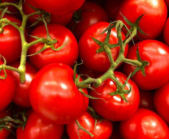 Hälsofördelar med tomater